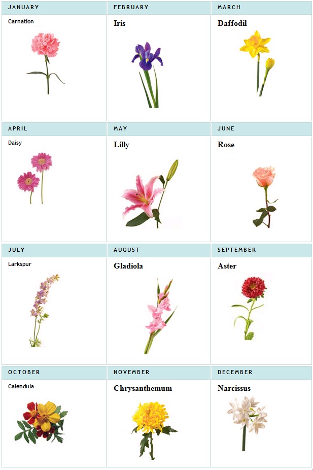 Birthstone And Flower Chart
